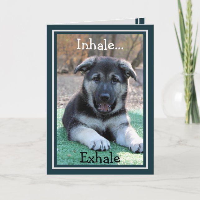 German Shepherd Puppy Funny Birthday Card Karte (Vorderseite)