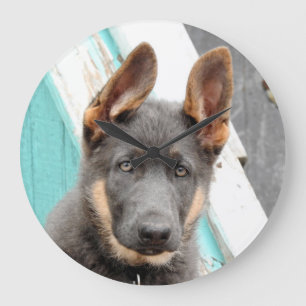 German Shepherd Puppy Große Wanduhr
