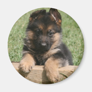German Shepherd Puppy Magnet