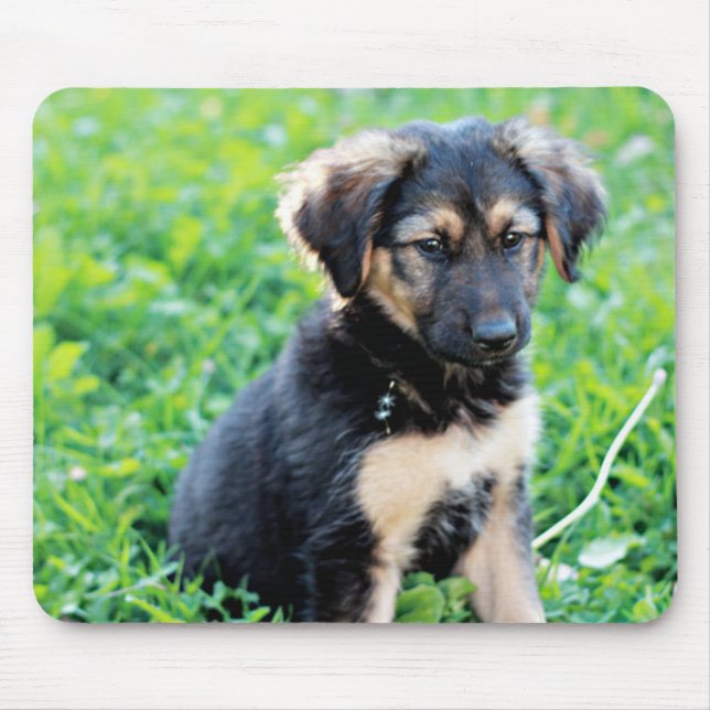 German Shepherd Puppy Mousepad (Vorne)