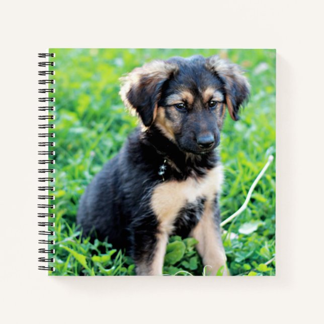German Shepherd Puppy Notizbuch (Vorderseite)