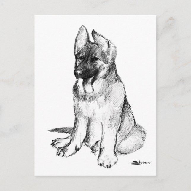 German Shepherd Puppy Postkarte (Vorderseite)