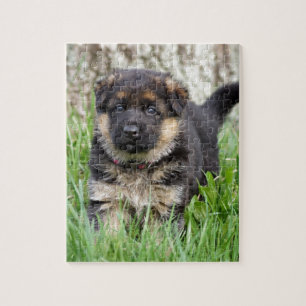German Shepherd Puppy Puzzle