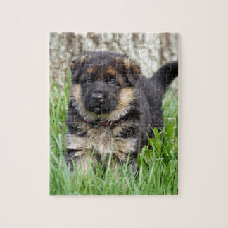 German Shepherd Puppy Puzzle