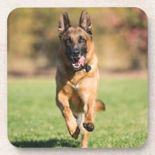 German Shepherd Running Getränkeuntersetzer