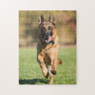 German Shepherd Running Puzzle