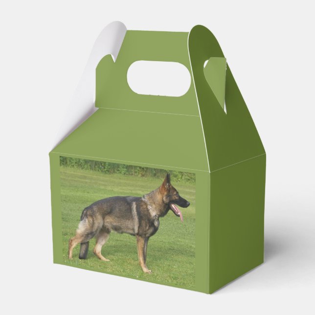German Shepherd Sable Full Geschenkschachtel (Vorderseite)