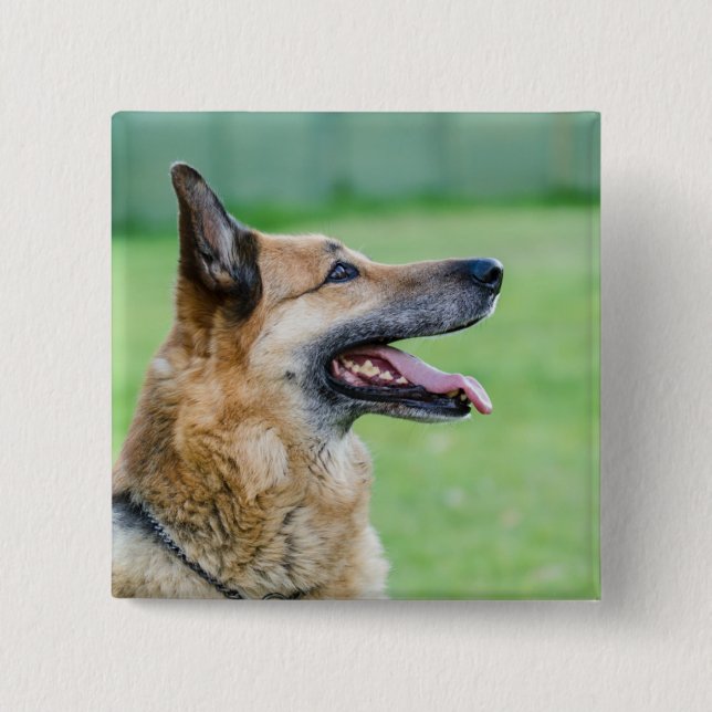 German Shepherd Side Portrait Button (Vorderseite)