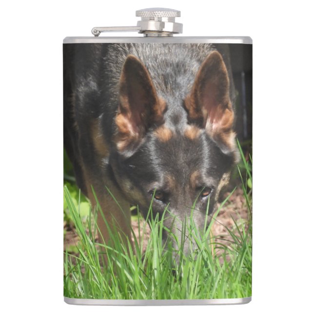German Shepherd Stare Woodchuck Scare Flachmann (Vorderseite)