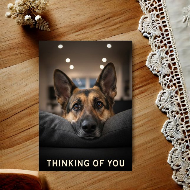 German Shepherd Thinking Of You Postcard Postkarte (Von Creator hochgeladen)