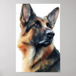 German shepherd turns his head watercolor poster
