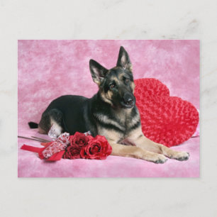 German Shepherd Valentine Feiertagspostkarte
