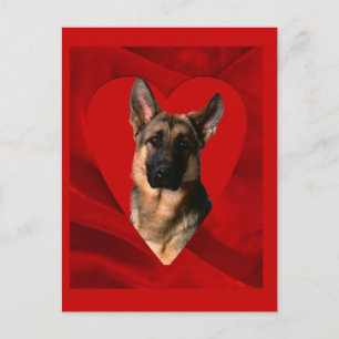 German Shepherd Valentine Feiertagspostkarte