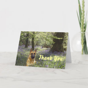 German Shepherd Vielen Dank für Ihren Kartenwald Dankeskarte