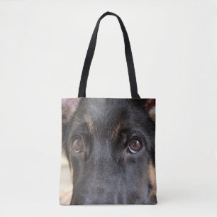 German Shepherd von Shirley Taylor