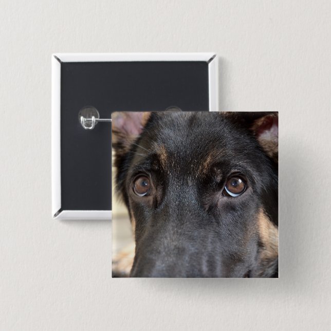 German Shepherd von Shirley Taylor Button (Vorne & Hinten)