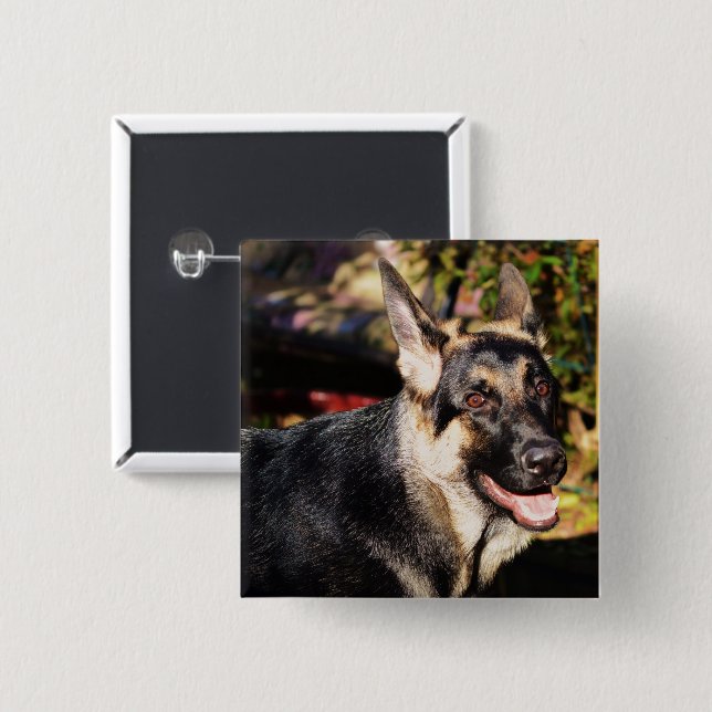 German Shepherd von Shirley Taylor Button (Vorne & Hinten)