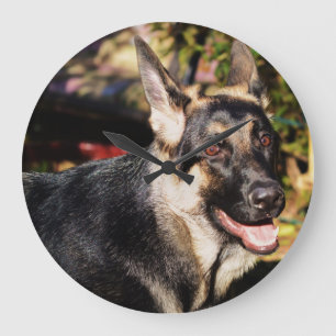 German Shepherd von Shirley Taylor Große Wanduhr