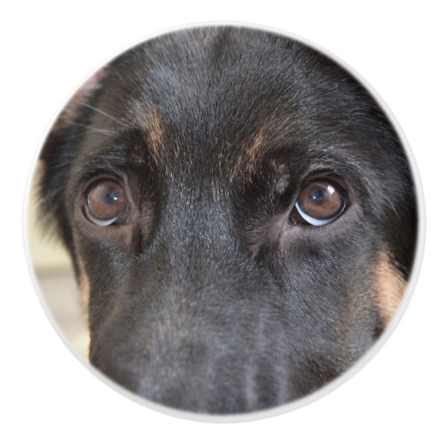 German Shepherd von Shirley Taylor Keramikknauf (Vorderseite)