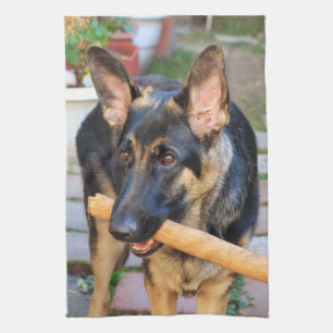 German Shepherd von Shirley Taylor Küchentuch