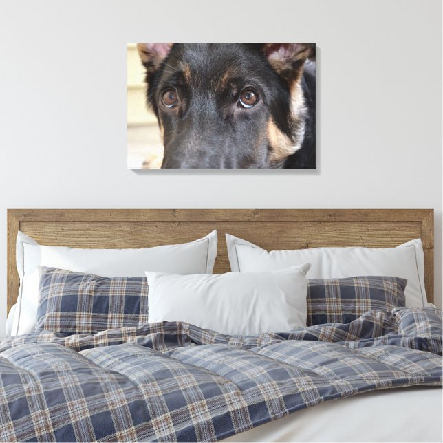 German Shepherd von Shirley Taylor Leinwanddruck (Insitu (Schlafzimmer))