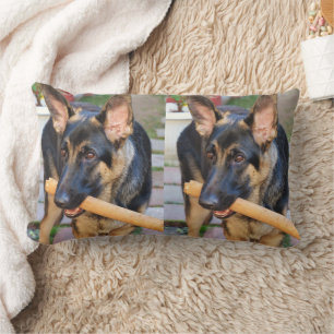 German Shepherd von Shirley Taylor Lendenkissen