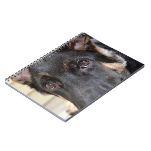 German Shepherd von Shirley Taylor Notizblock
