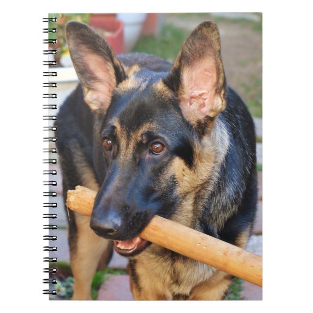 German Shepherd von Shirley Taylor Notizblock (Vorderseite)