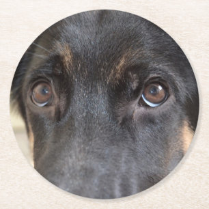 German Shepherd von Shirley Taylor Runder Pappuntersetzer