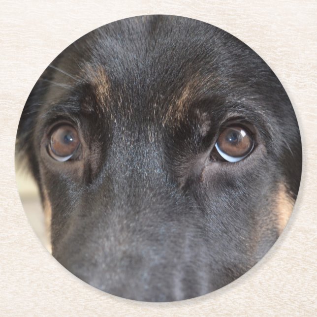 German Shepherd von Shirley Taylor Runder Pappuntersetzer (Vorderseite)