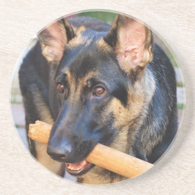 German Shepherd von Shirley Taylor Sandstein Untersetzer (Vorne)