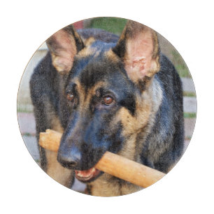 German Shepherd von Shirley Taylor Schneidebrett