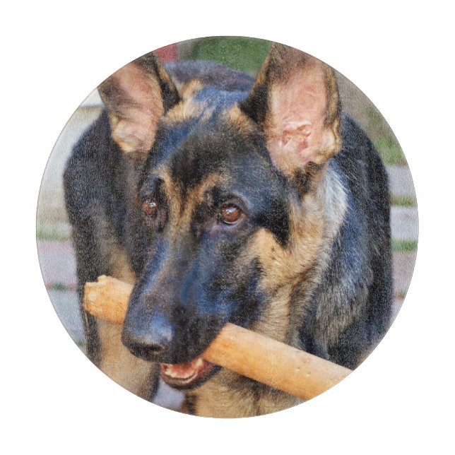 German Shepherd von Shirley Taylor Schneidebrett (Vorderseite)