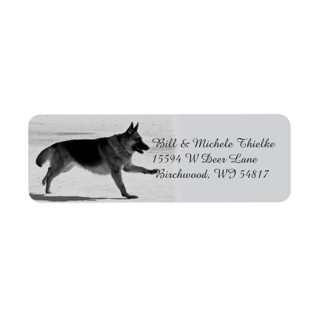 German Shepherds Address Labels (Vorne)