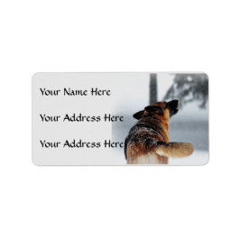 German Shepherds Address Labels Adressaufkleber