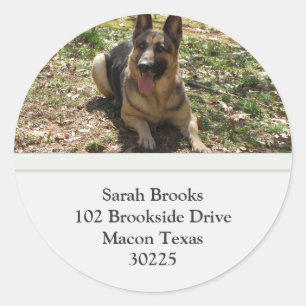 German Shepherds Address Labels Runder Aufkleber