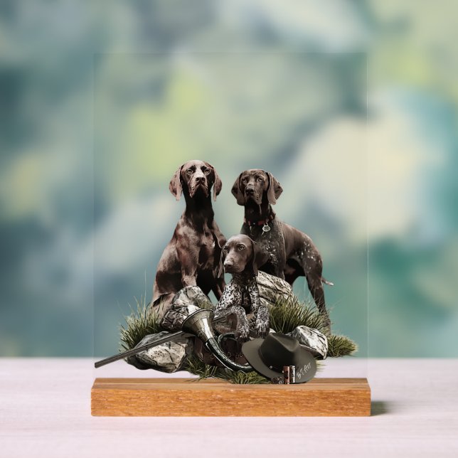German Shorthaired Pointer     Acrylschild (Neutral)