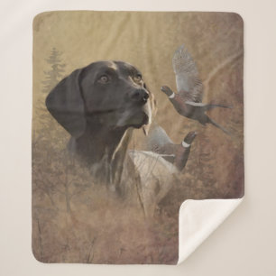 German Shorthaired Pointer , Deutsch Kurzhaar Sherpadecke