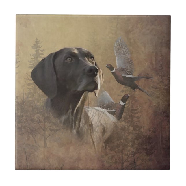 German Shorthaired Pointer , Deutsch Kurzhaar Tape Fliese (Vorderseite)