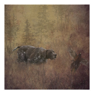 German Shorthaired Pointer , Deutsch Kurzhaar Tape Poster