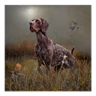 German Shorthaired Pointer , Deutsch Kurzhaar Tape Poster