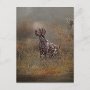 German Shorthaired Pointer , Deutsch Kurzhaar Tape Postkarte