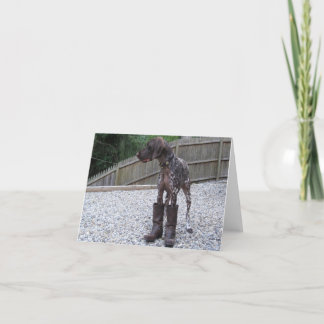 German Shorthaired Pointer in Boots Karte