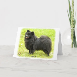 German Spitz 9W014D-009 Karte