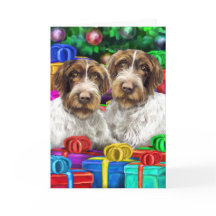 German WH Pointer Open Geschenke Weihnachten