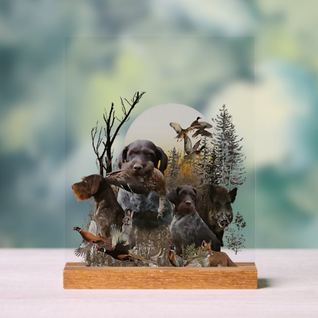 German Wirehaired Pointer, GWP Acrylschild (Neutral)