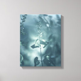 Germander Floral Nature Foto Leinwanddruck