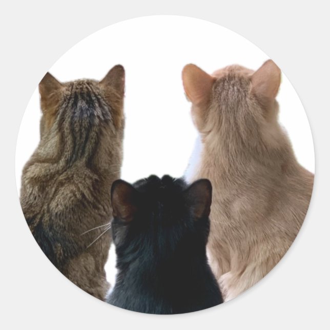 Geronimo, Henri & Floyd Sticker (Vorderseite)