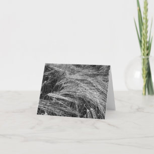 Gerstenohren (Hordeum vulgare) Karte