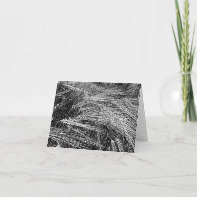 Gerstenohren (Hordeum vulgare) Karte (Vorderseite)